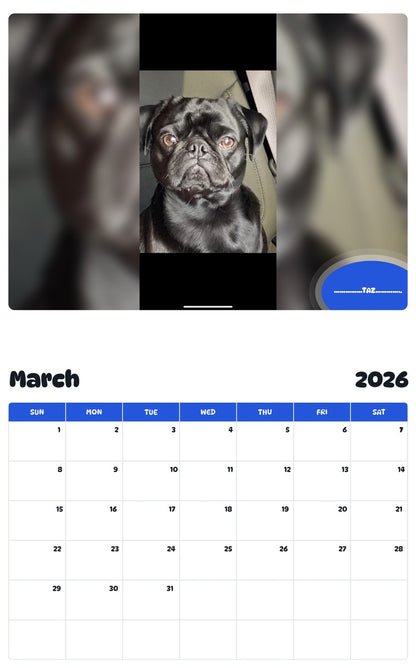 November 2025 - October 2026 ……………TAZ………….. - Pawidols Pet Calendar