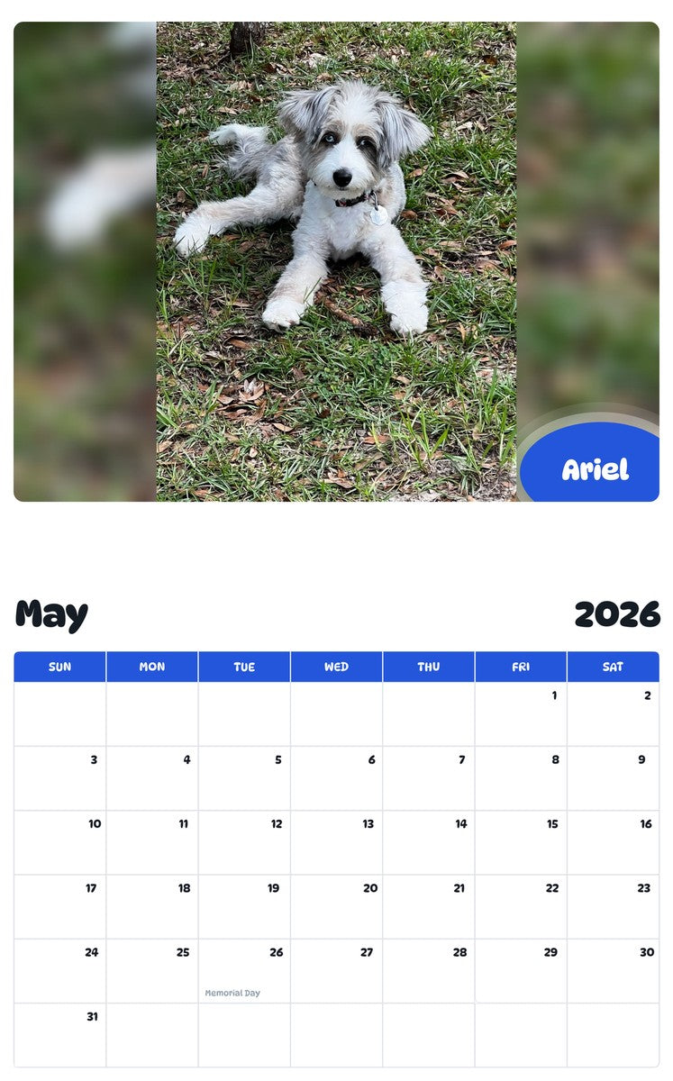 2026 - 2027 Ariel - Pawidols Pet Calendar