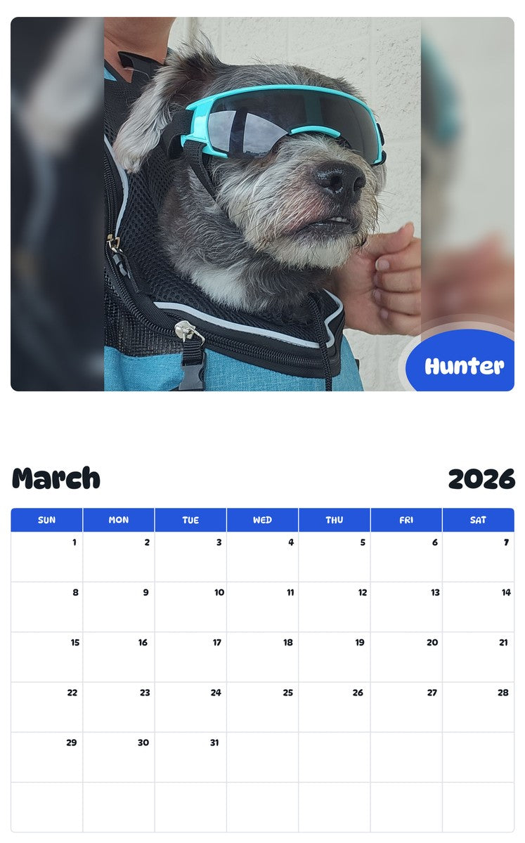 November 2025 - October 2026 Hunter - Pawidols Pet Calendar