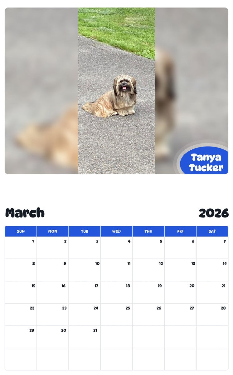 November 2025 - October 2026 Tanya Tucker - Pawidols Pet Calendar
