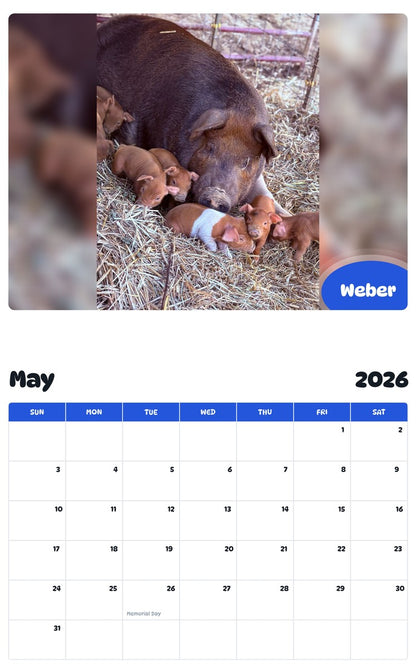 2026 - 2027 Weber - Pawidols Pet Calendar
