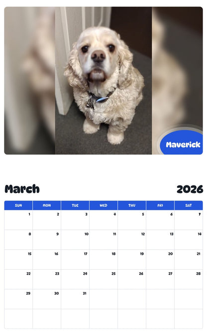 November 2025 - October 2026 Maverick - Pawidols Pet Calendar