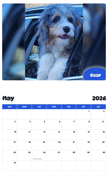 2026 - 2027 Bear - Pawidols Pet Calendar