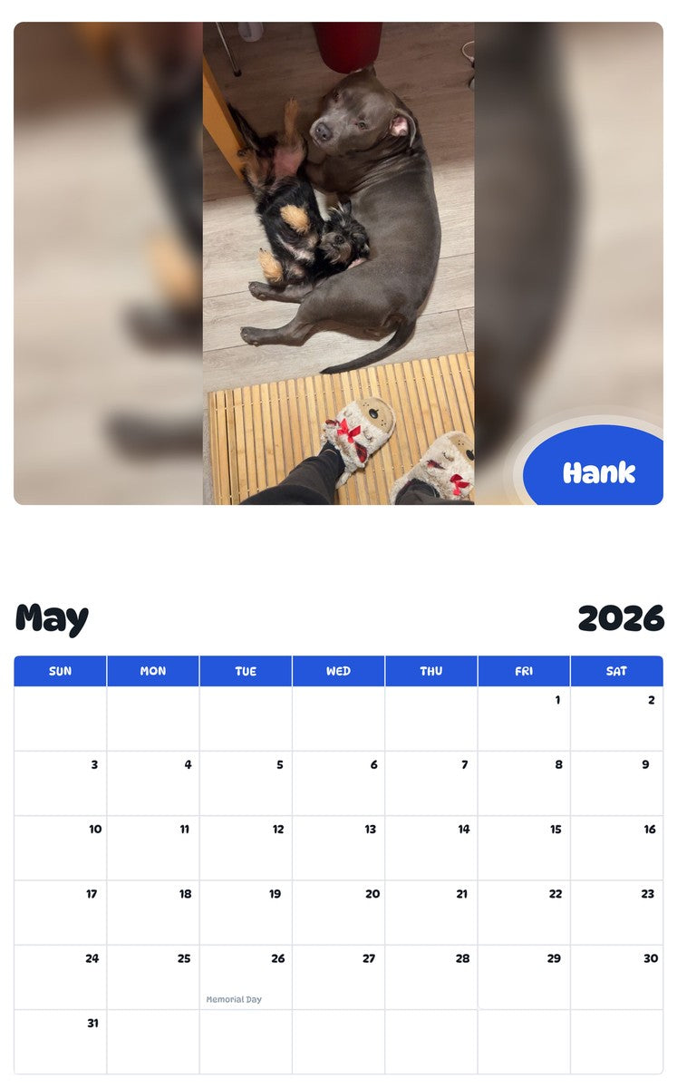 2026 - 2027 Hank - Pawidols Pet Calendar