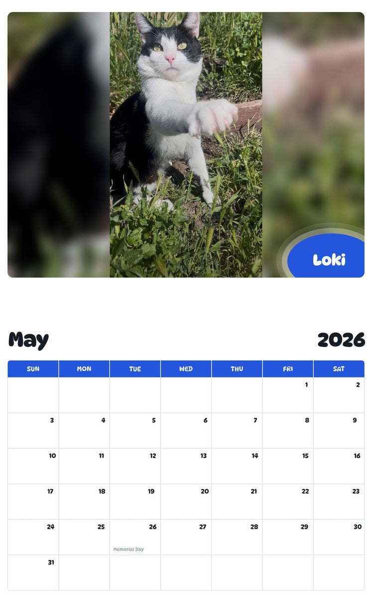 2026 - 2027 Loki - Pawidols Pet Calendar