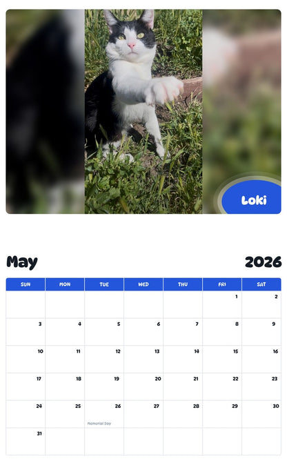 2026 - 2027 Loki - Pawidols Pet Calendar