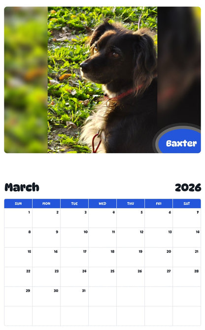 November 2025 - October 2026 Baxter - Pawidols Pet Calendar