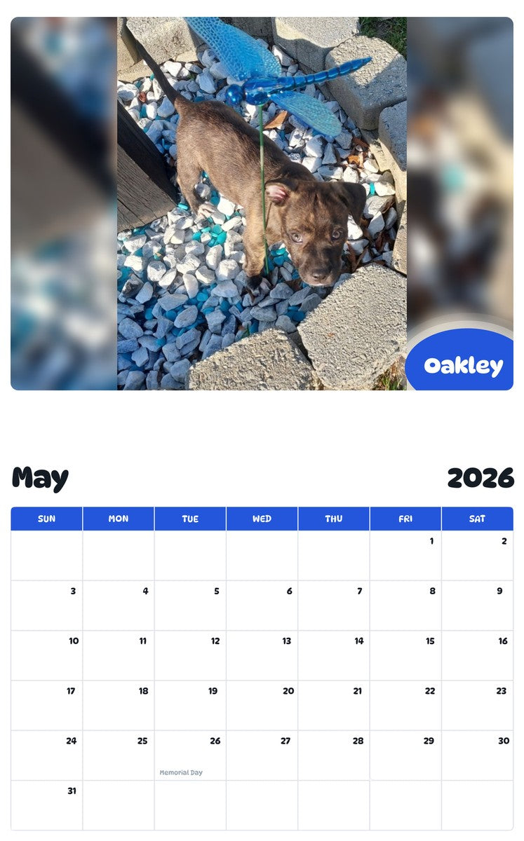 2026 - 2027 Oakley - Pawidols Pet Calendar