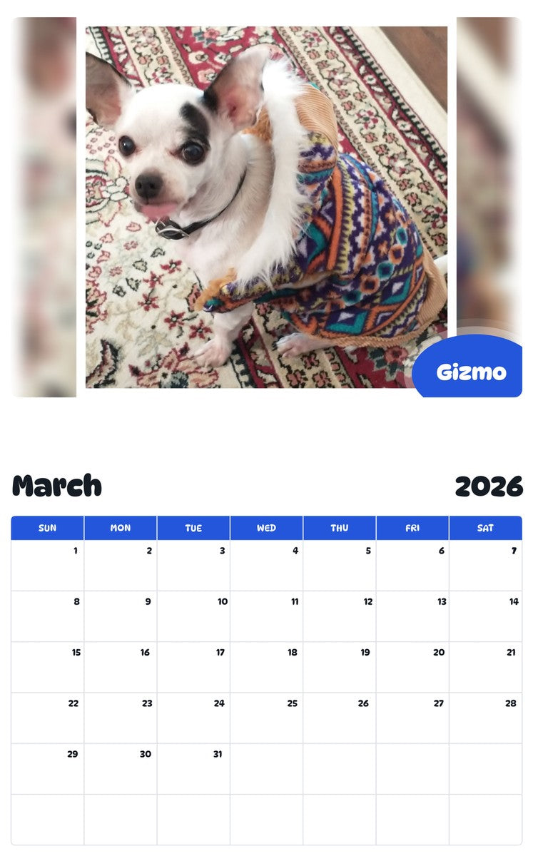 November 2025 - October 2026 Gizmo - Pawidols Pet Calendar