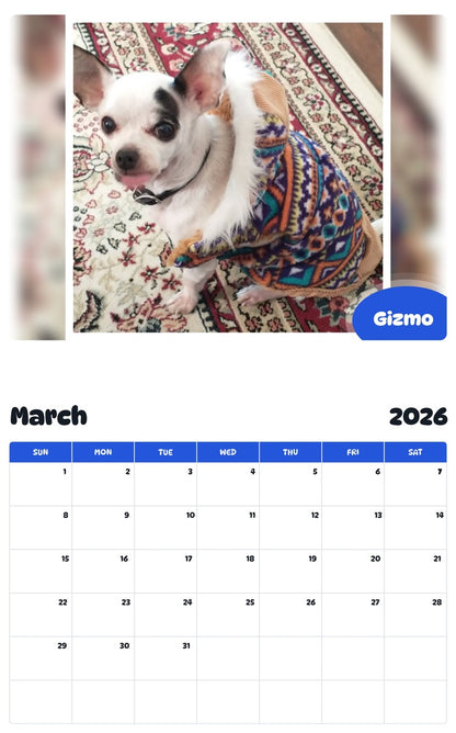 November 2025 - October 2026 Gizmo - Pawidols Pet Calendar