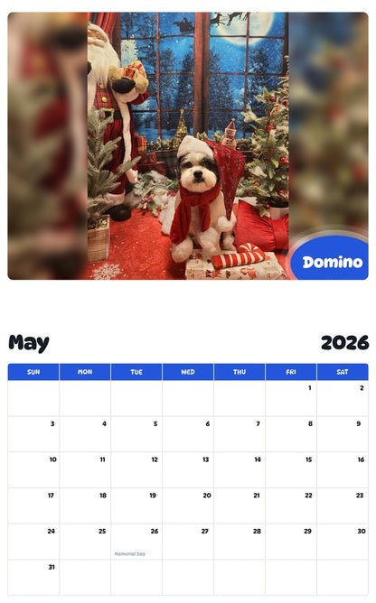2026 - 2027 Domino - Pawidols Pet Calendar