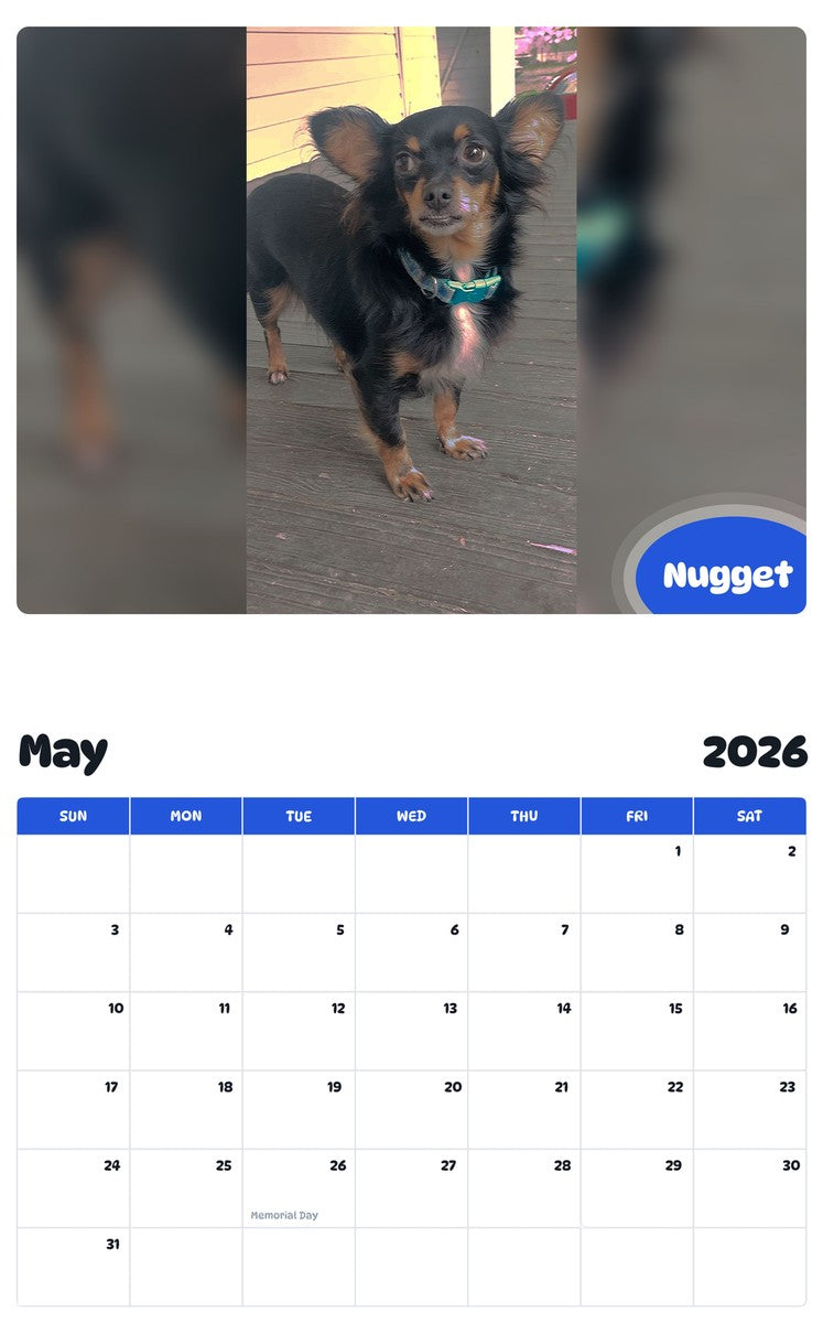 2026 - 2027 Nugget - Pawidols Pet Calendar
