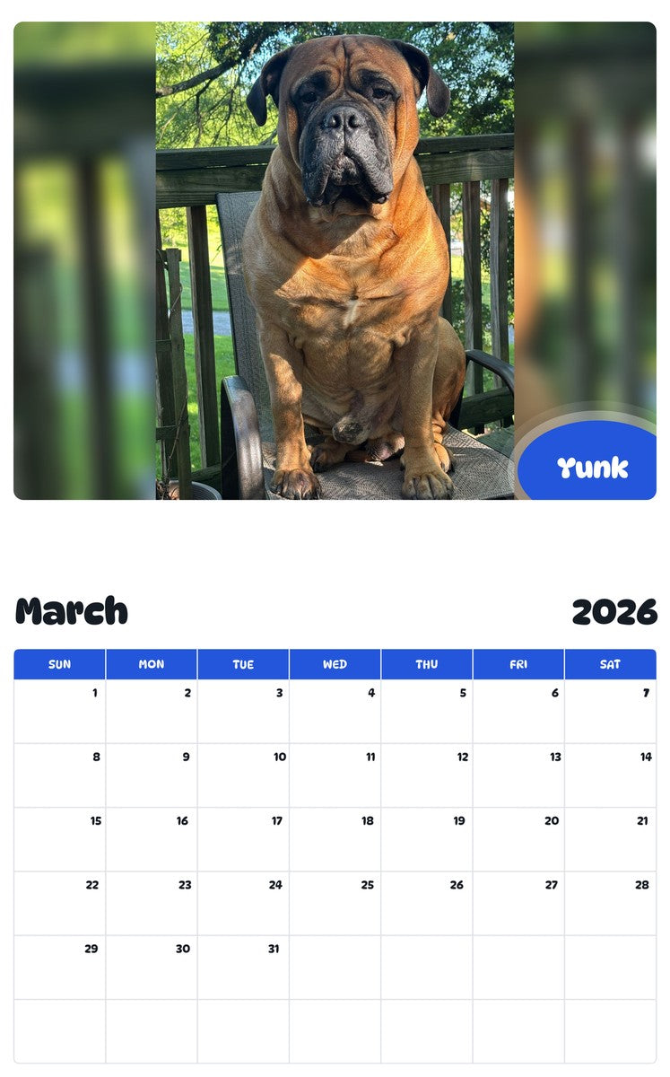 November 2025 - October 2026 Yunk - Pawidols Pet Calendar