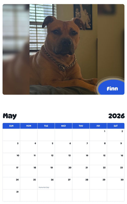2026 - 2027 Finn - Pawidols Pet Calendar