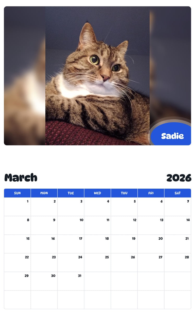 November 2025 - October 2026 Sadie - Pawidols Pet Calendar