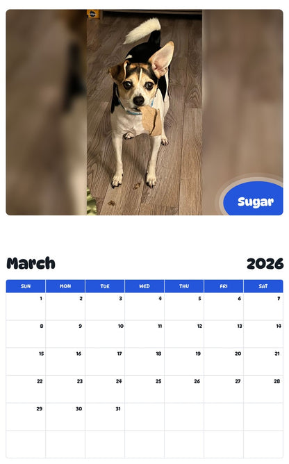 November 2025 - October 2026 Sugar - Pawidols Pet Calendar