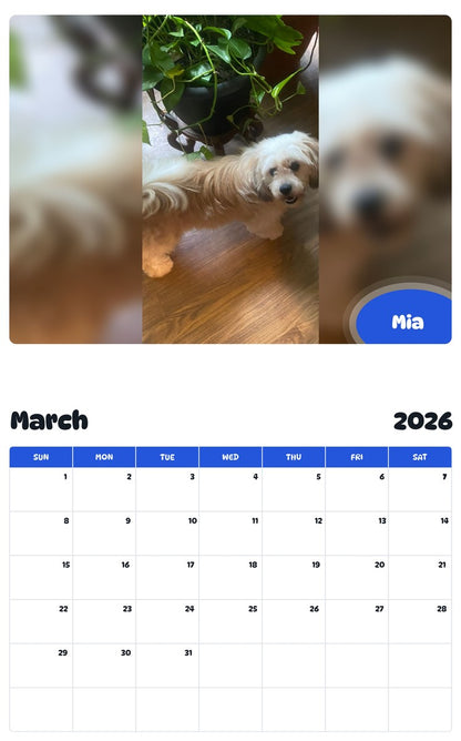 November 2025 - October 2026 Mia - Pawidols Pet Calendar