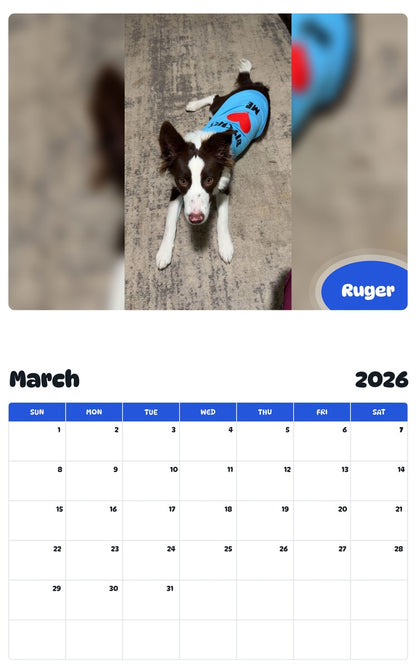 November 2025 - October 2026 Ruger - Pawidols Pet Calendar
