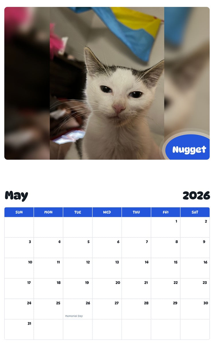 2026 - 2027 Nugget - Pawidols Pet Calendar