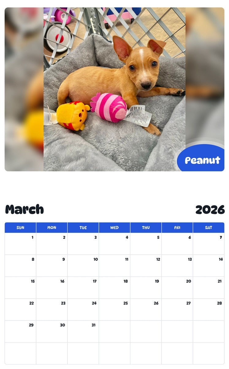 November 2025 - October 2026 Peanut - Pawidols Pet Calendar