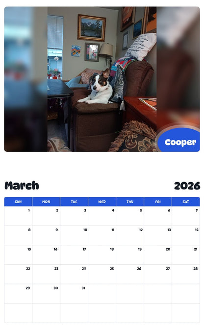November 2025 - October 2026 Cooper - Pawidols Pet Calendar