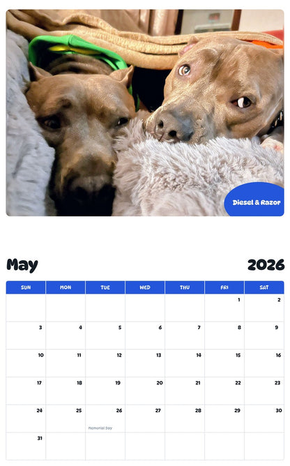2026 - 2027 Diesel & Razor - Pawidols Pet Calendar