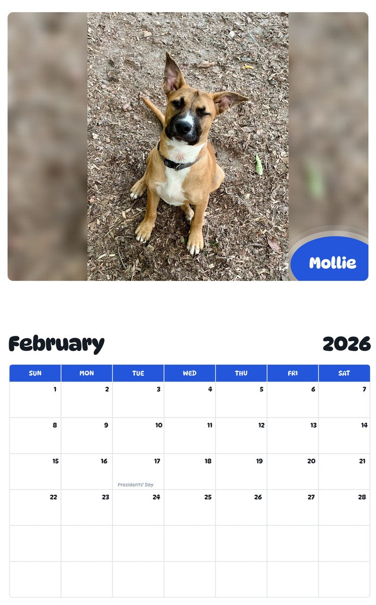 November 2025 - October 2026 Mollie - Pawidols Pet Calendar