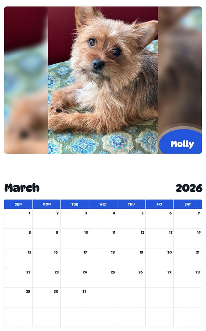 November 2025 - October 2026 Molly - Pawidols Pet Calendar