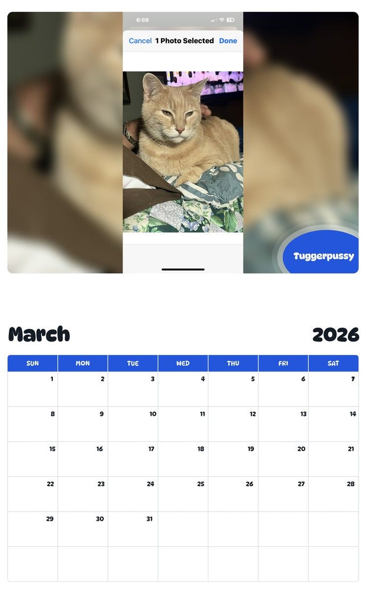 November 2025 - October 2026 Tuggerpussy - Pawidols Pet Calendar