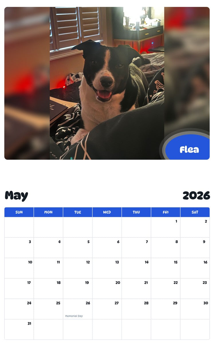 2026 - 2027 Flea - Pawidols Pet Calendar