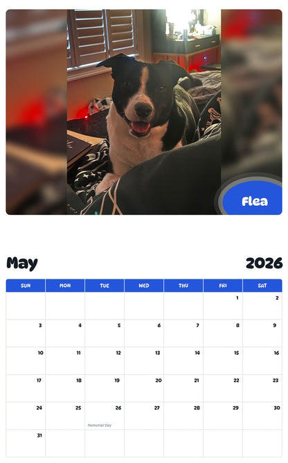 2026 - 2027 Flea - Pawidols Pet Calendar
