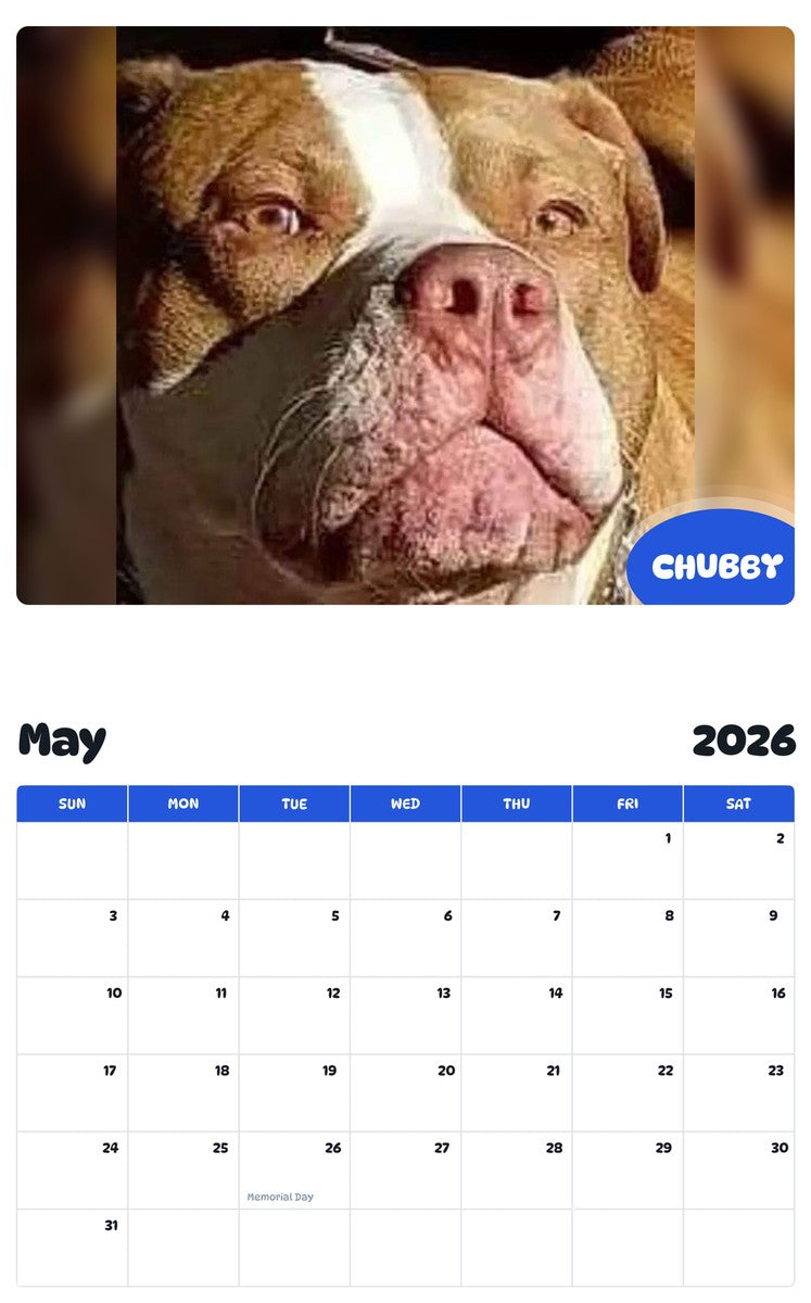 2026 - 2027 CHUBBY - Pawidols Pet Calendar