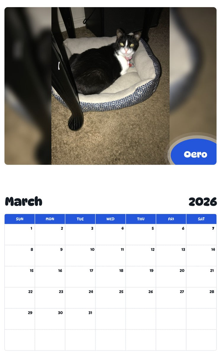 November 2025 - October 2026 Oero - Pawidols Pet Calendar