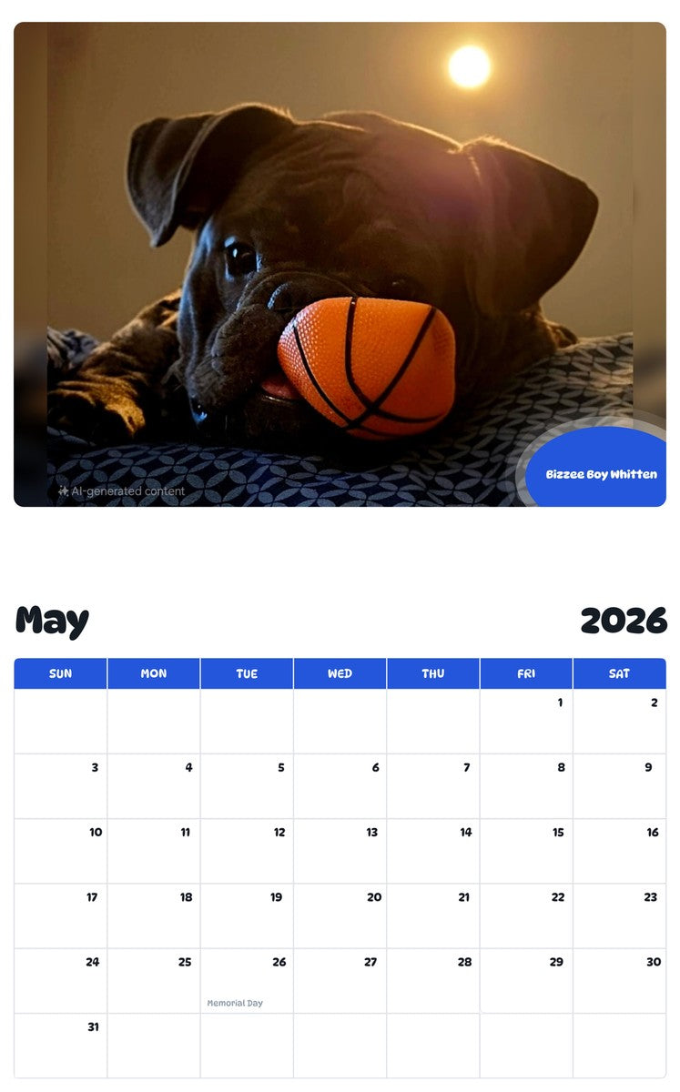 2026 - 2027 Bizzee Boy Whitten - Pawidols Pet Calendar