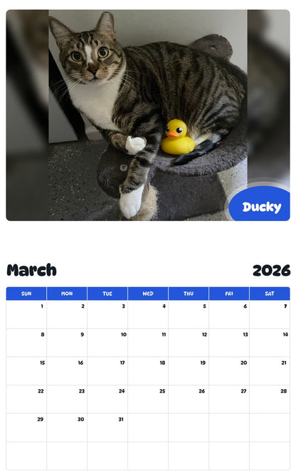 November 2025 - October 2026 Ducky - Pawidols Pet Calendar