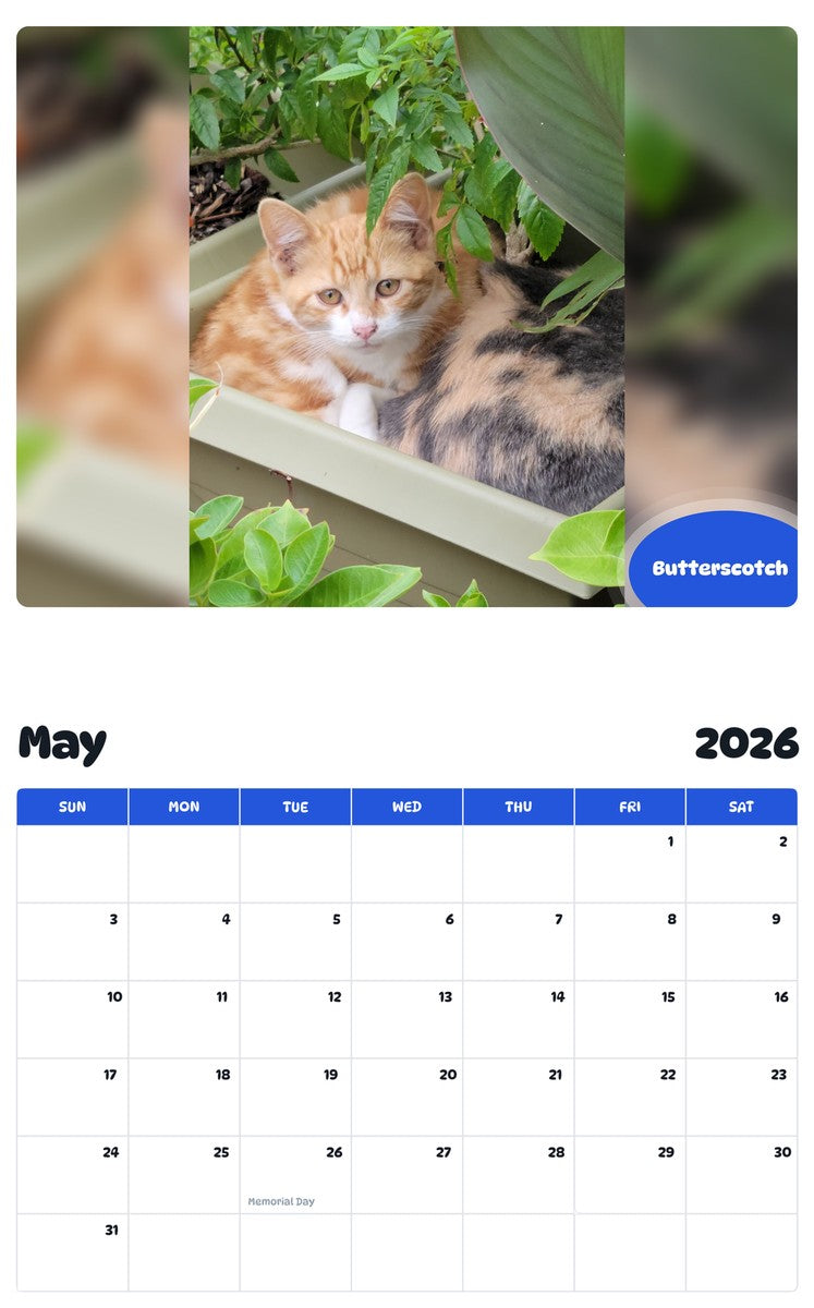 2026 - 2027 Butterscotch - Pawidols Pet Calendar