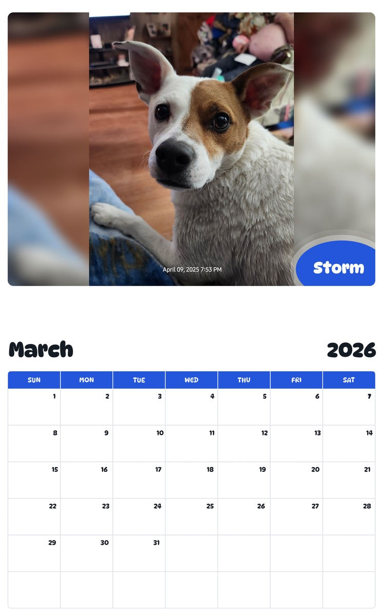 November 2025 - October 2026 Storm - Pawidols Pet Calendar