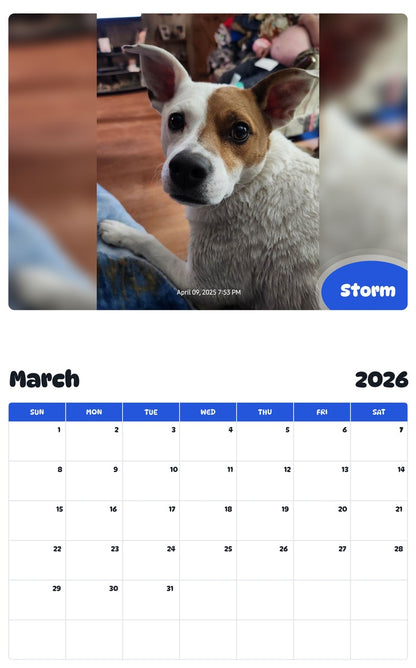 November 2025 - October 2026 Storm - Pawidols Pet Calendar