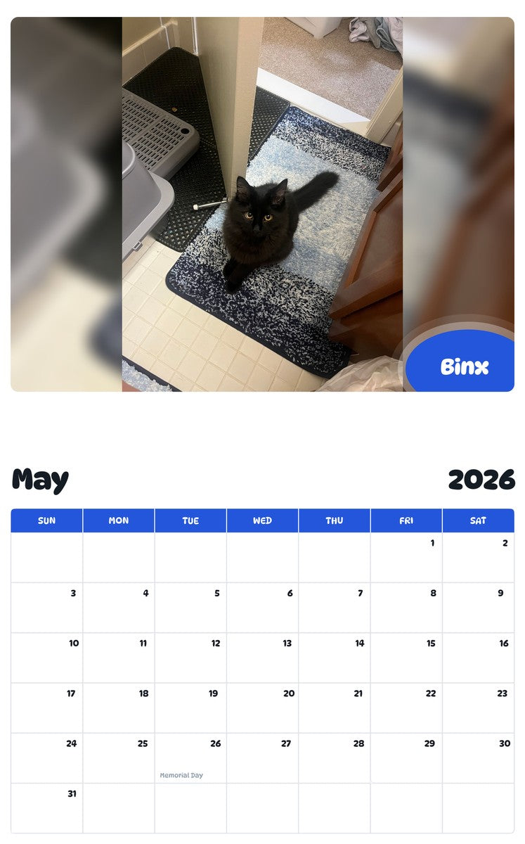 2026 - 2027 Binx - Pawidols Pet Calendar