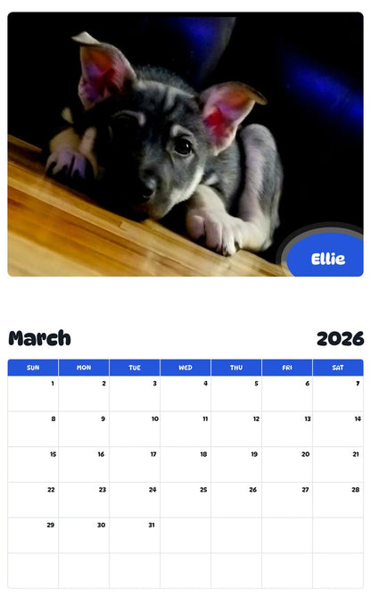 November 2025 - October 2026 Ellie - Pawidols Pet Calendar