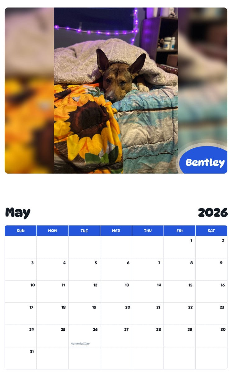 2026 - 2027 Bentley - Pawidols Pet Calendar