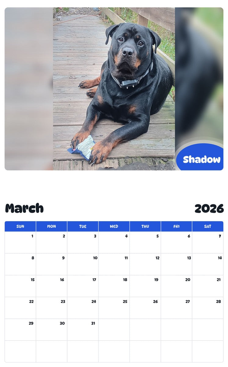 November 2025 - October 2026 Shadow - Pawidols Pet Calendar