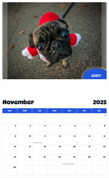 July 2025 - June 2026 Sassy - Pawidols Pet Calendar