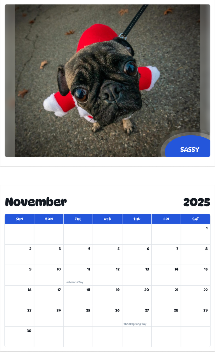 July 2025 - June 2026 Sassy - Pawidols Pet Calendar