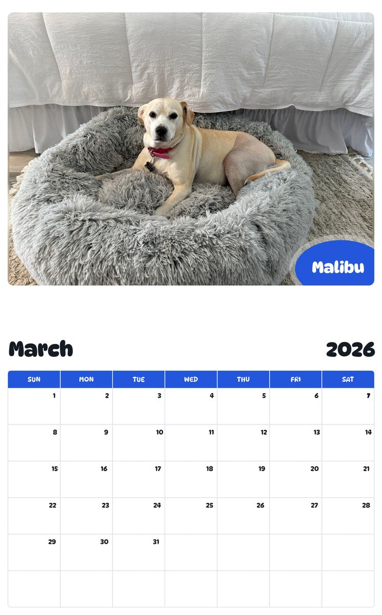 November 2025 - October 2026 Malibu - Pawidols Pet Calendar