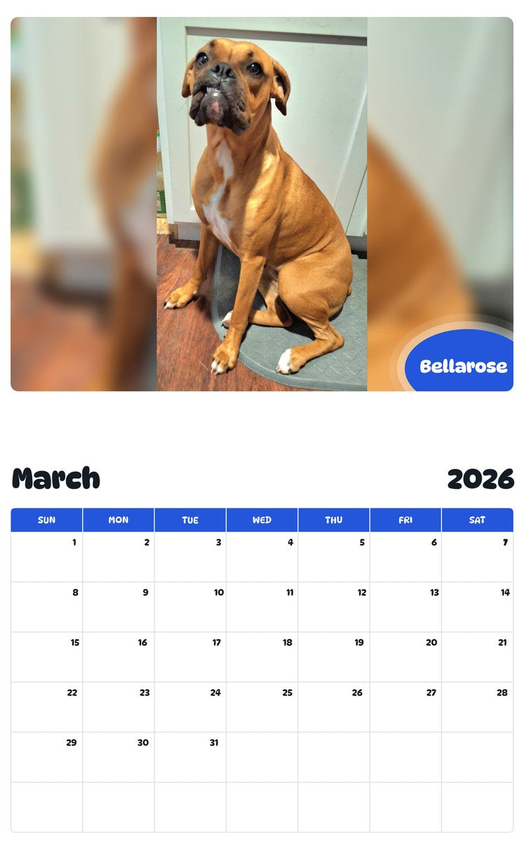 November 2025 - October 2026 Bellarose - Pawidols Pet Calendar