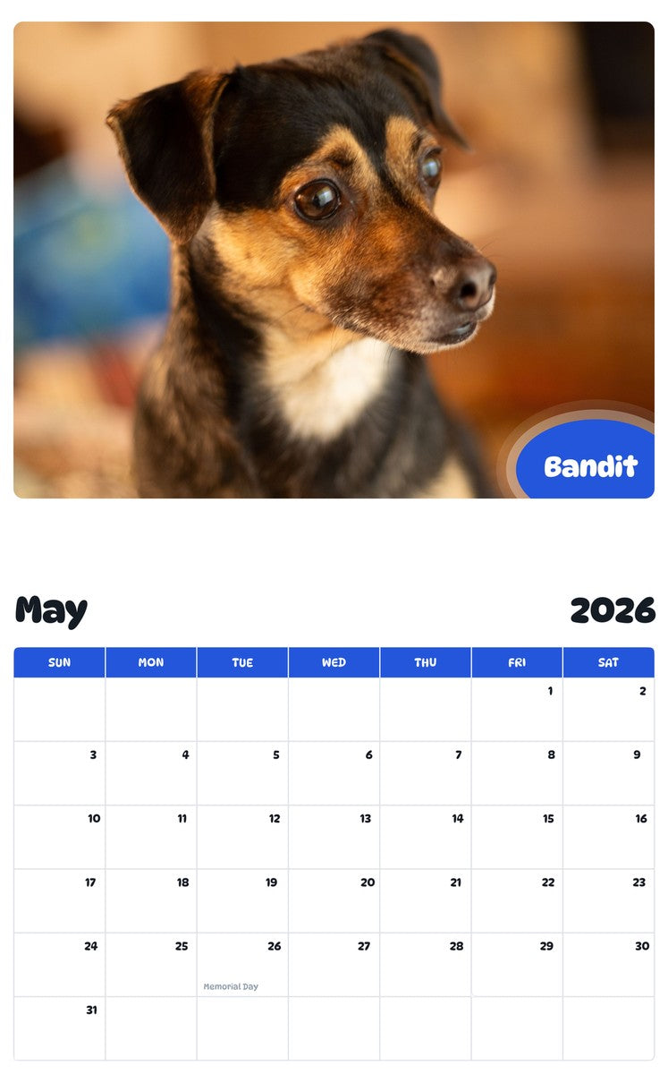 2026 - 2027 Bandit - Pawidols Pet Calendar