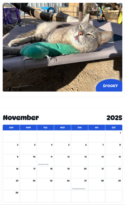 July 2025 - June 2026 Spooky - Pawidols Pet Calendar
