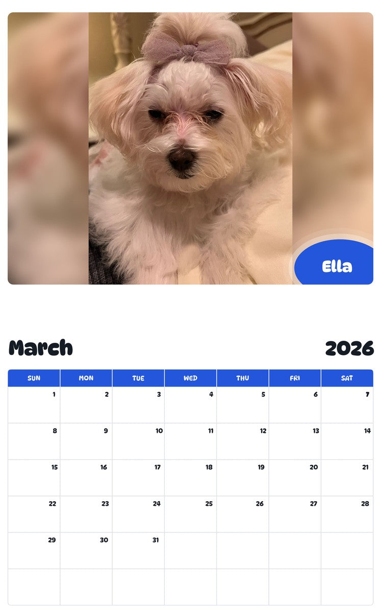 November 2025 - October 2026 Ella - Pawidols Pet Calendar