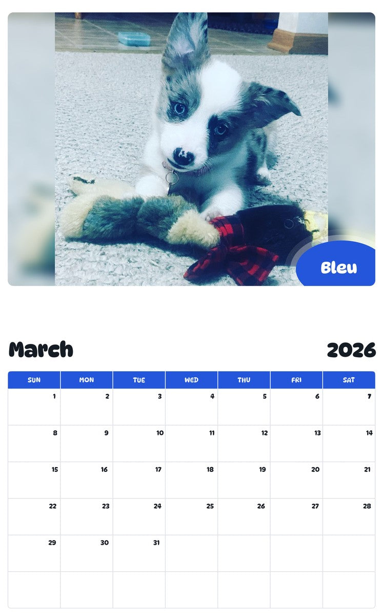 November 2025 - October 2026 Bleu - Pawidols Pet Calendar